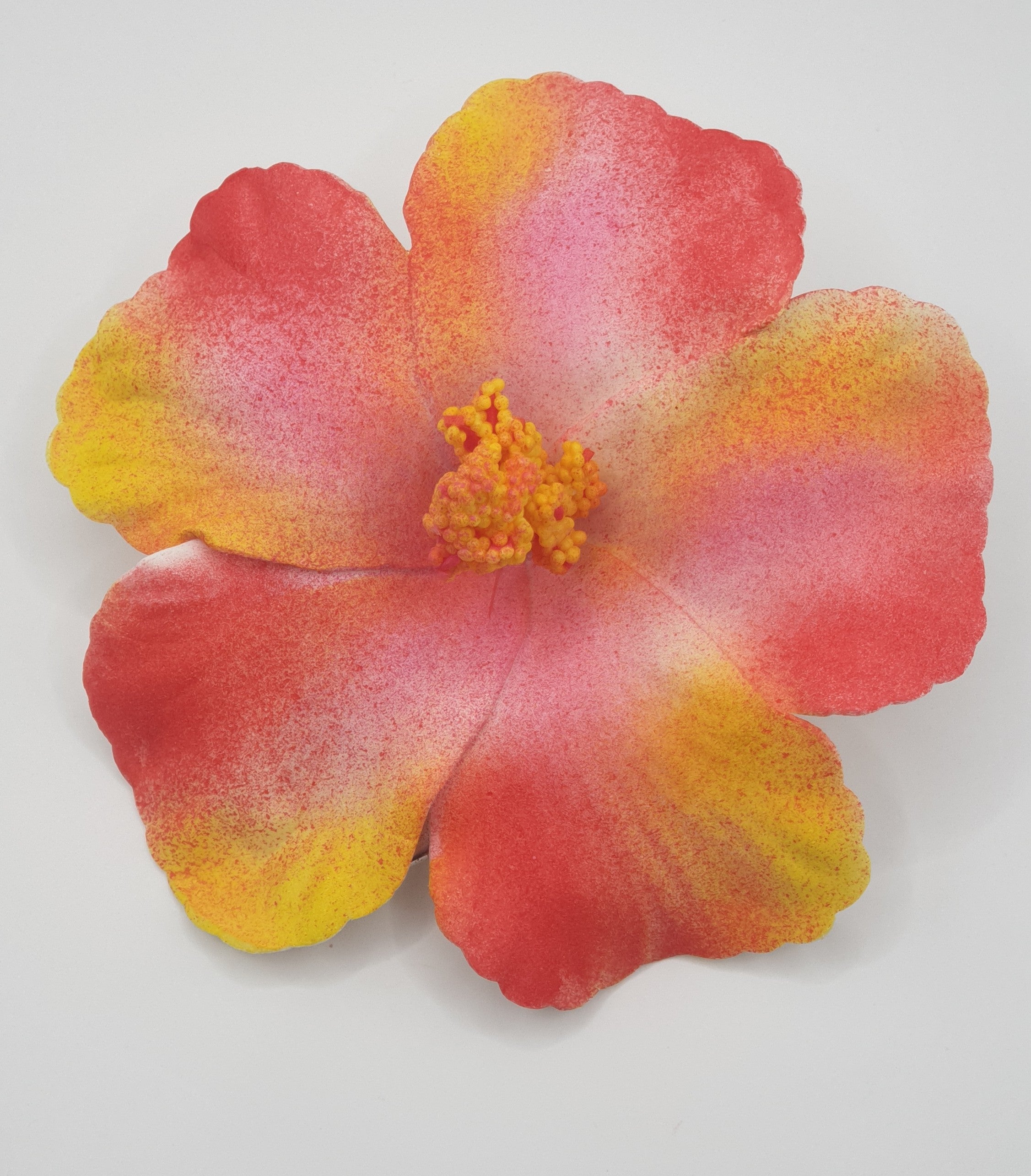 Petites Hibiscus