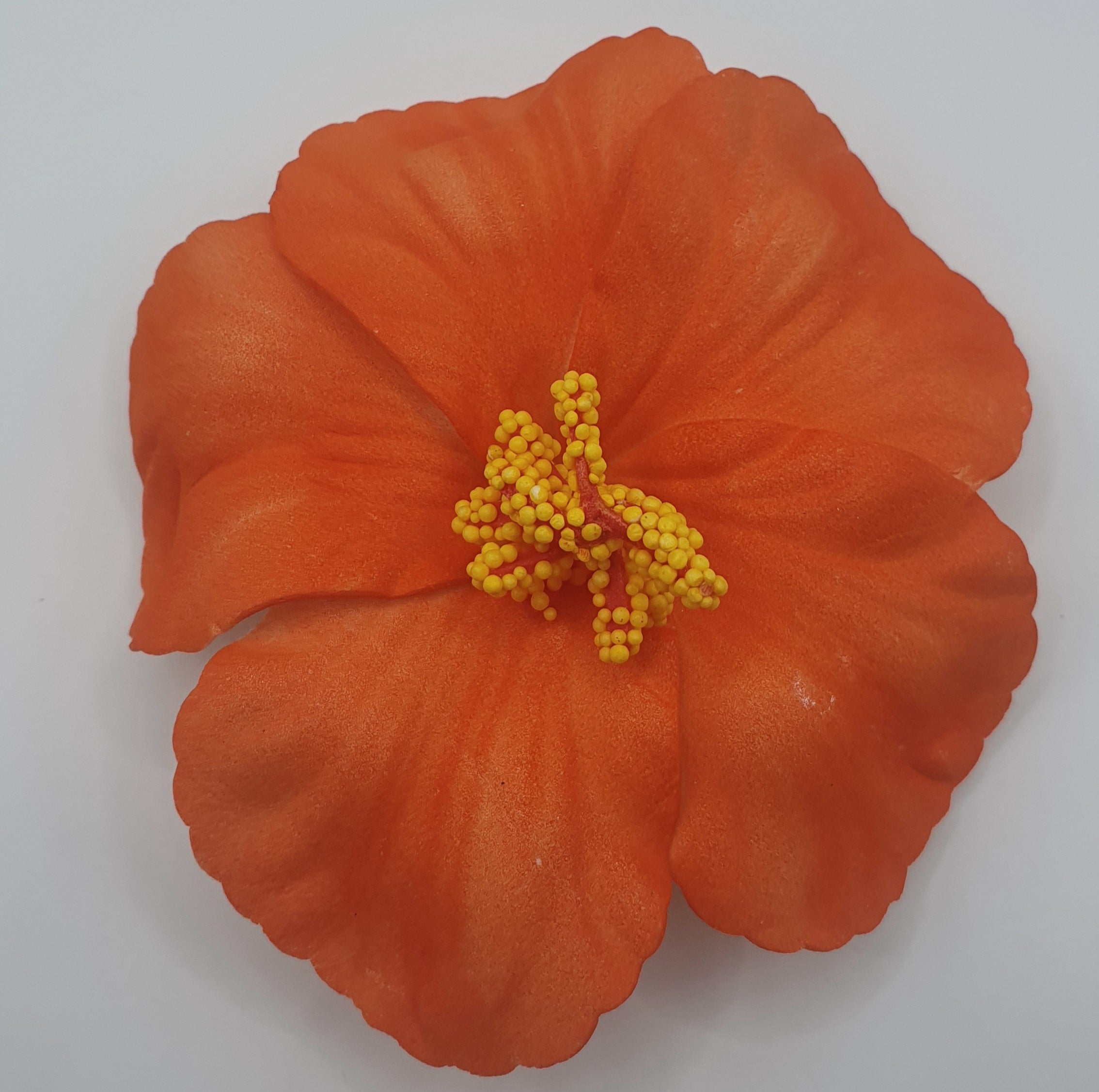 PH05