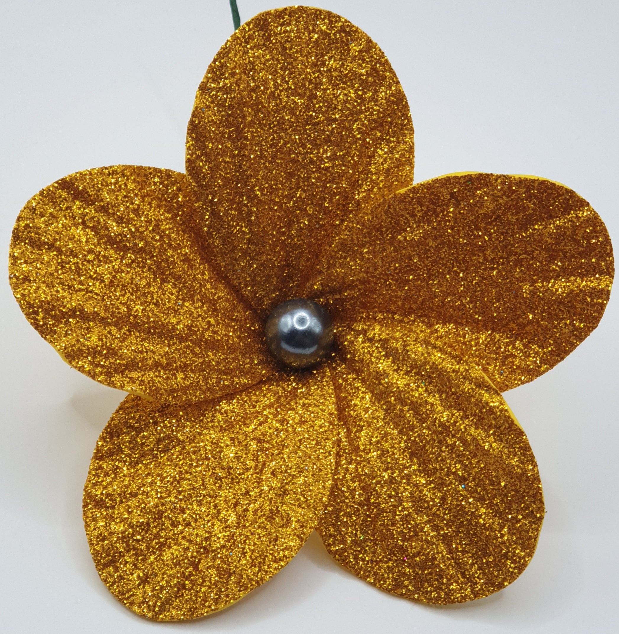 FPA6