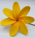 TIA1