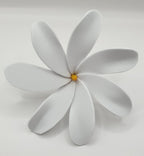 TIA1