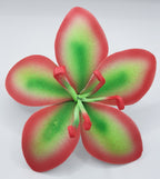 O9